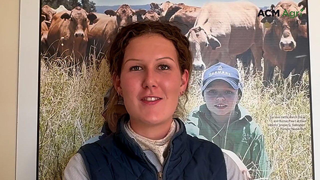 Roma cattle sale market report - April 21, 2026