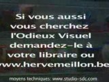 Sortie de L'Odieux Visuel en Librairie - Hervé Meillon