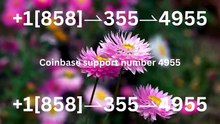 『Coinbase CUSTOMER®』 SERVICE© CARE℗ NUMBERS TOLL FREE NUMBER: Easy Step by Step Guide