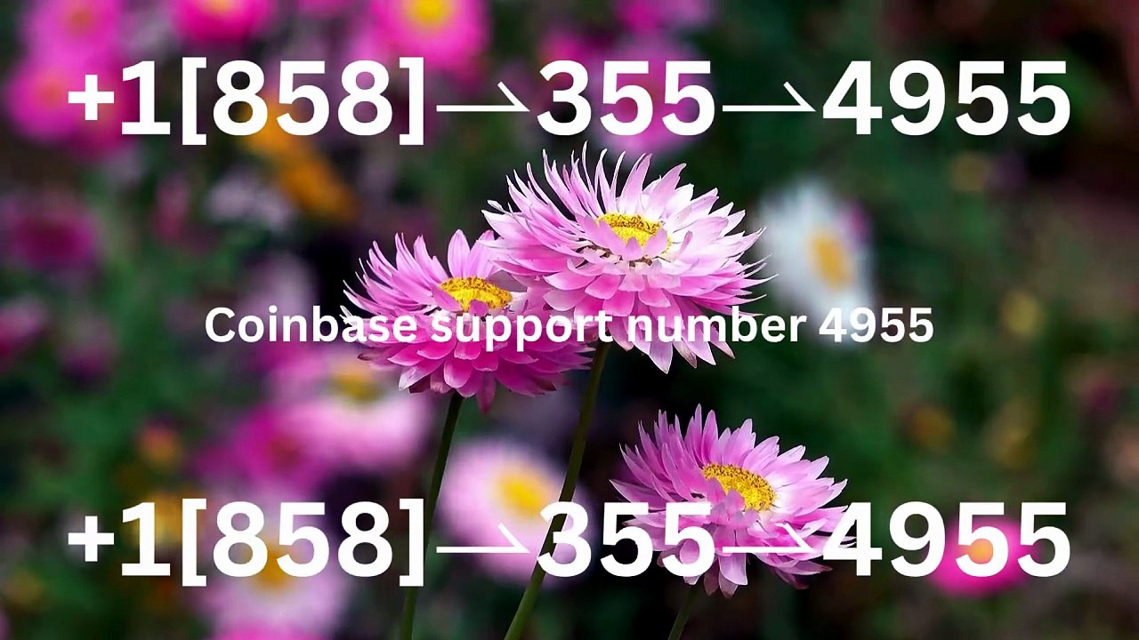 Complete List of Official Coinbase Customer Service Number, HELP-DESK Helpline 24/7 Care