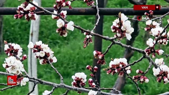 Van'da iki mevsim bir arada