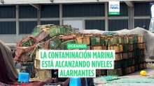 Redes fantasma: la amenaza invisible que contamina el Mediterráneo y el Atlántico
