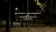 Like dry leavees,