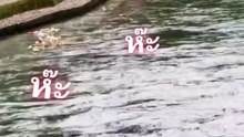 แฉพฤติกรรมแย่ ๆ พนักงานเทขยะลงแม่น้ำ แหล่งท่องเที่ยวดัง