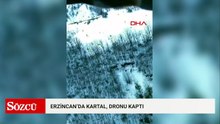 Kartal, dronu kaptı