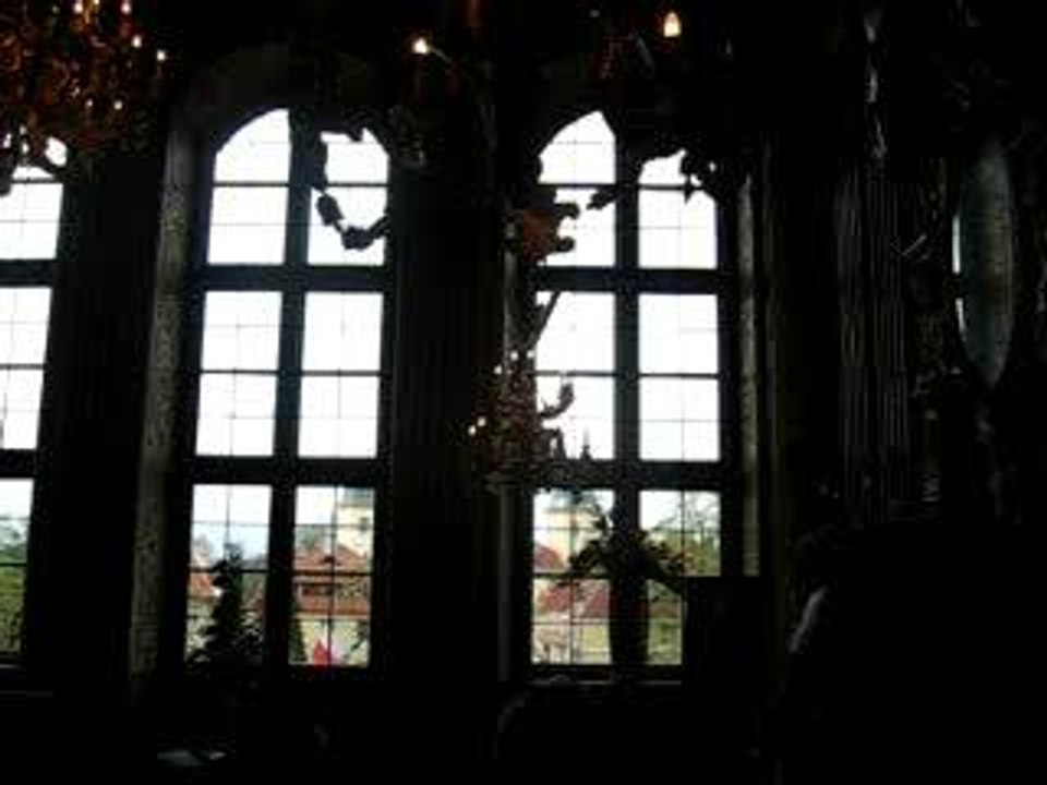 MVI_2903
