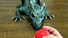 My pet dragon tried to cheat! 🐉 Look at him peeking through his claws... I can’t believe he’s this smart (and sneaky). 🧐