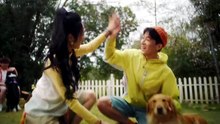 PettiChat World s First Real-Time Two-Way Pet Translator by PettiChat