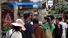 В Испании нелегалы массово выходят из тени