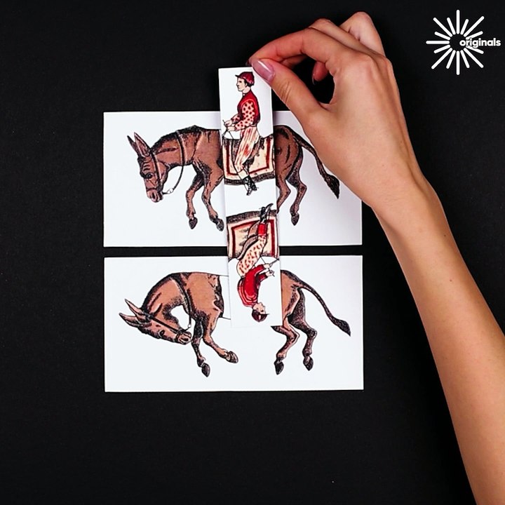 Not everything is as it seems... 🐎