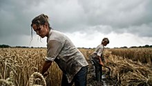 Wheat Harvesting by Poor Mother and Son