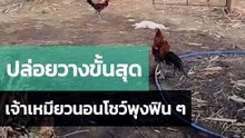 โอ๊ยยยย.. นอนแบบไม่เอาอะไรแล้ว