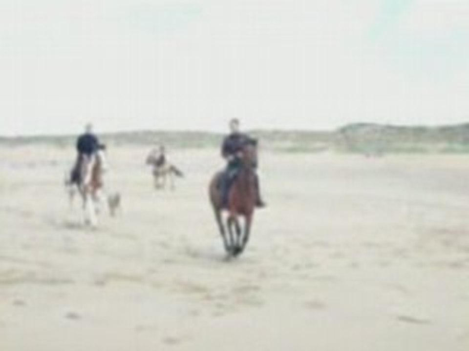 Idaho Gitane Galop