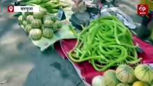 सरगुजा में पारा 41 के पार, हीटवेव अलर्ट जारी, अगले 3 दिन राहत, गर्मी से आम को बचाने की सलाह