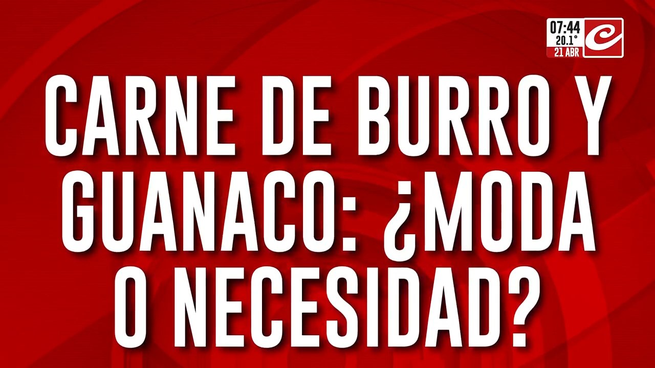 Carne de burro y guanaco... ¿moda o necesidad? Habla Alberto Samid