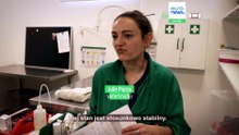 Nietypowy szpital pod Paryżem leczy tysiące dzikich zwierząt
