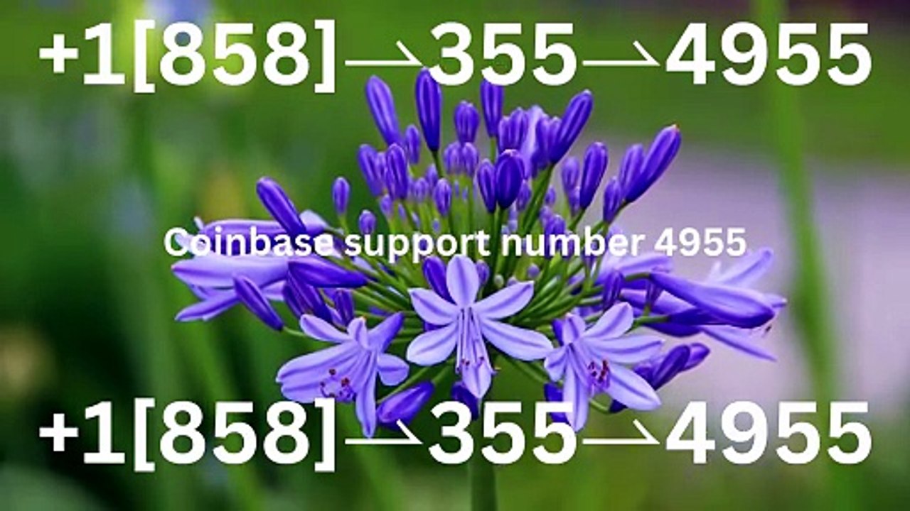!!FAQ&!! 【Coinbase®】 {Help Desk Wallet SuppoRt}™ — Toll-Free Numbers & Support Options