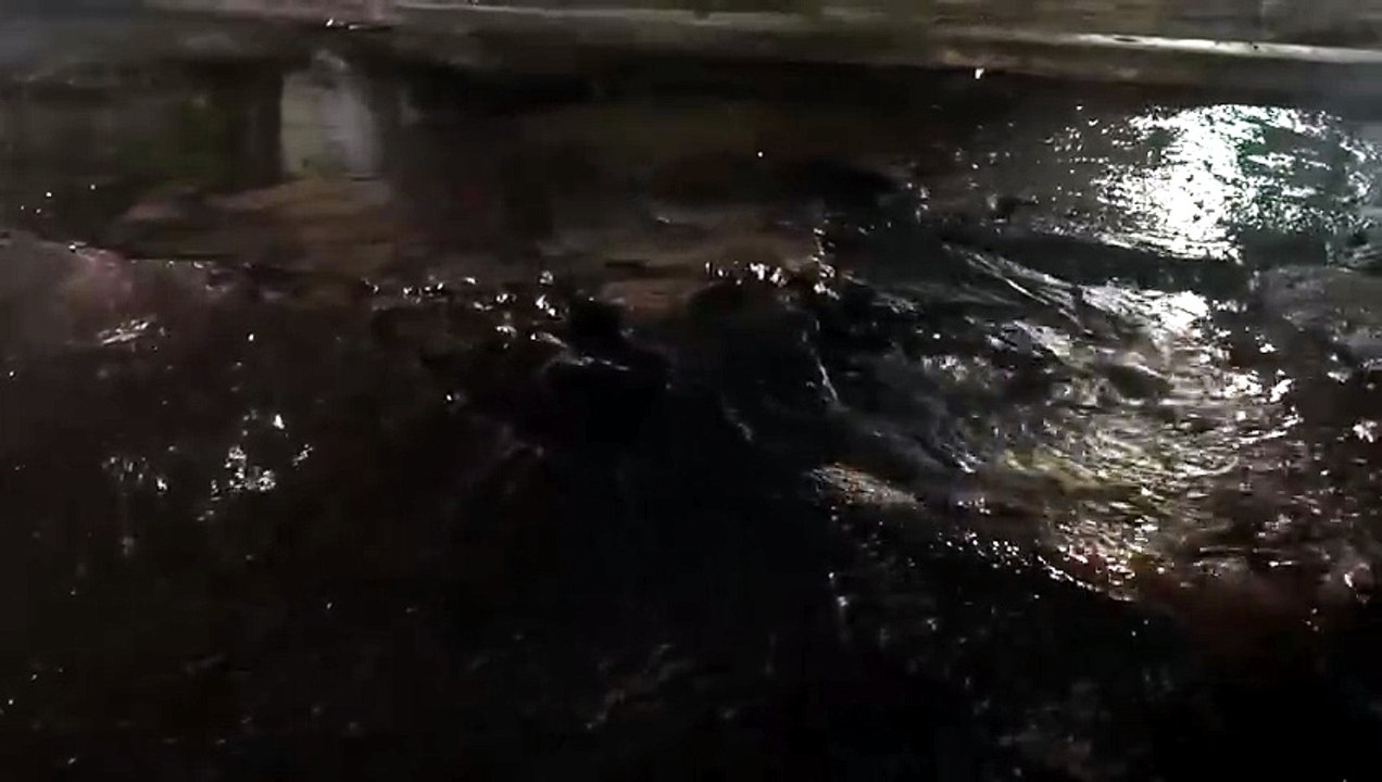Fuga de agua rompe pavimento en Tlalpan