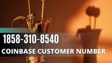 Full List of Official Coinbase Contact Numbers in the USA : Full Step-by-Step Guide