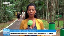 Zoológico de Cascavel está aberto neste feriado de Tiradentes