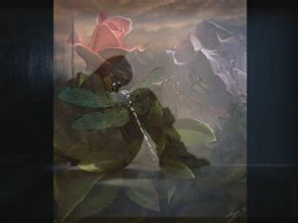 MFO - Gözyaşlarımızı bitti mi sandın