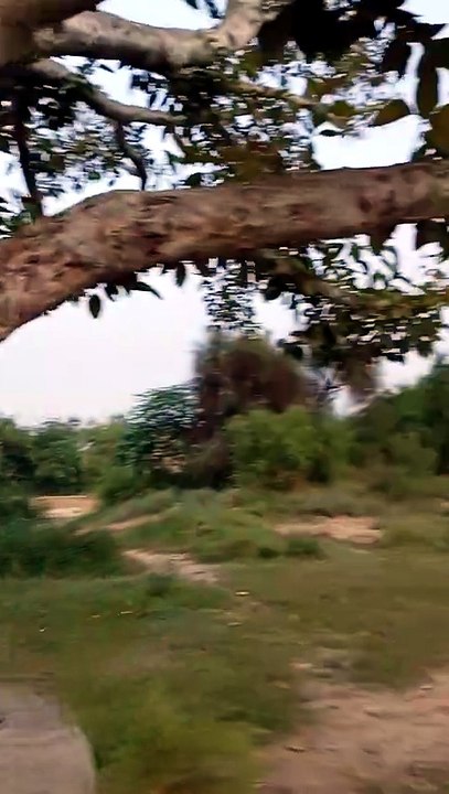 VID_20240911_170255
