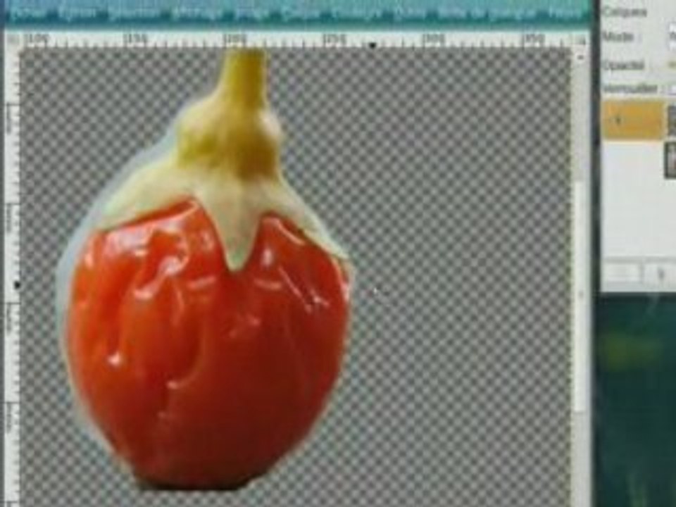 Détourage au lassot sous The Gimp 2.4