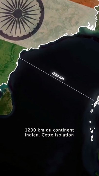 Connaissiez vous l'ile de North Sentinel  #histoire #ile #FaitsDivers #actualites