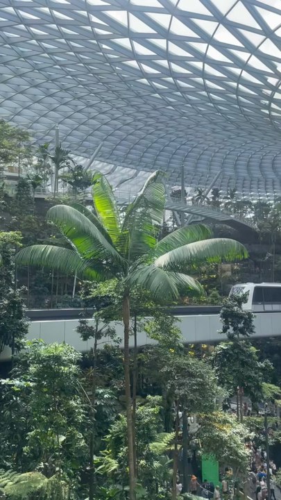 Train passing behind the waterfall 🚆💧Right inside Singapore Airport… unreal.Future vibes in real life ✨