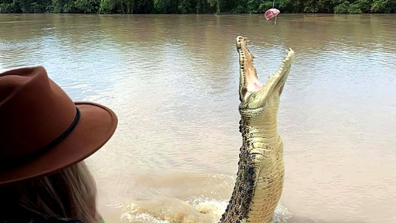 Adelaide River Queen