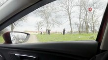 Tepki çeken görüntü! Mangal için ağacın dalını böyle kırmaya çalıştılar