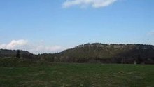 MVI_2995
