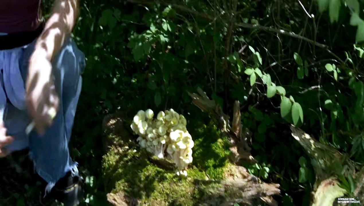 W i t c h b o a r d   ( 2 0 2 4 ) [Full Movie] [Full Story]Full EP - Full