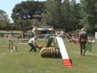 1. Gpf Brigand 8 juin 2008