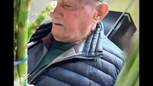 Carletto Life story con i nonni e gli amici