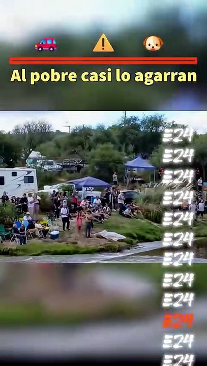 Al pobre casi lo agarran 🚗⚠️🐶 He almost got caught.