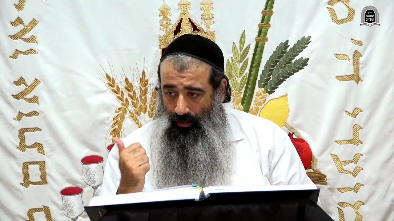 פנימיות דחיצוניות 01