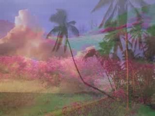 Jesus has risen from the dead