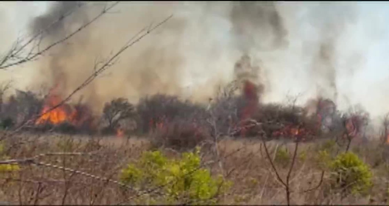 tn7-cifra-record-200-incendios-forestales-con-miles-de-hectareas-consumidas-y-animales-muertos-210426