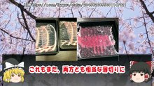 （ゆっくり）しゃぶ葉　肉が薄すぎて大炎上　「基準外提供」を認め謝罪　実際に食べてみた