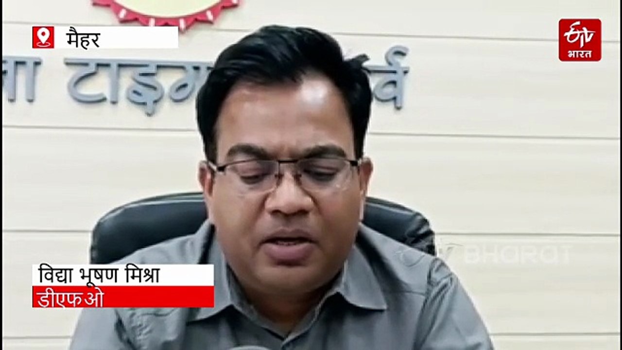 बांधवगढ़ टाइगर रिजर्व में बाघ शावक की मौत आपसी...
