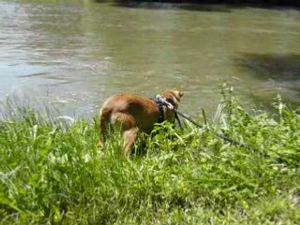 Cassy au bord de l'eau