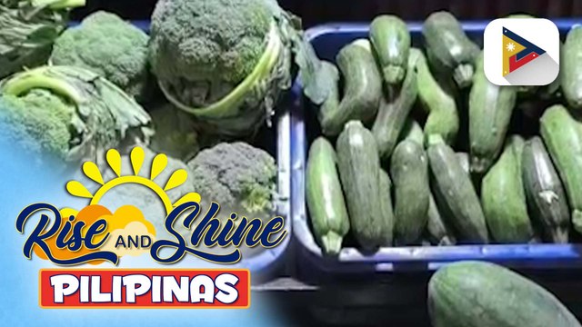 DSWD, sinimulan na ang pamamahagi ng mga gulay na binili ng Office of the President para sa mga tsuper sa Pasay City | ulat ni Gab Villegas