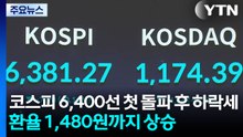 코스피 6,400선 첫 돌파 후 하락세...환율 1,480원까지 상승 / YTN