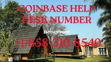 [[Full«++9.^9..%»List]] Complete Official Coinbase Customer Care® Numbers in the: A complete guides