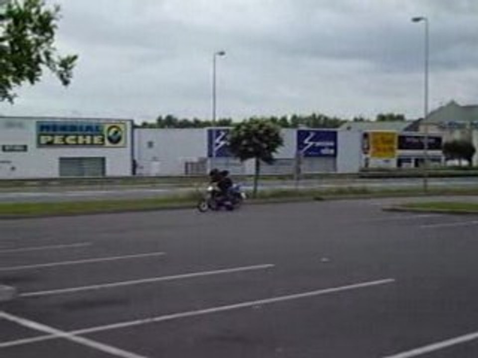 IMGP0220