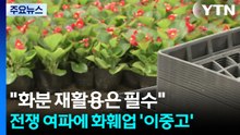 "화분 재활용은 필수"...전쟁 여파에 화훼업 '이중고' / YTN