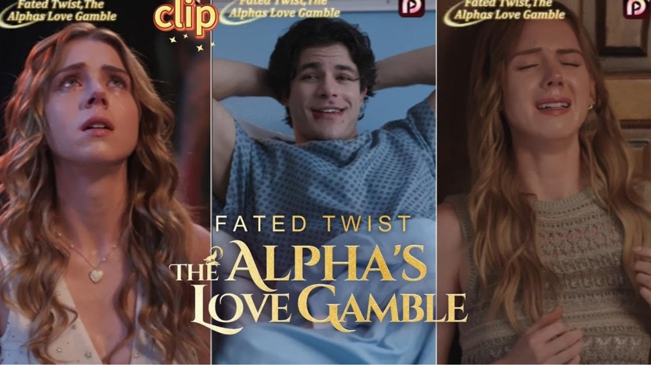 Hot 2026🔥 Fated Twist- The Alpha's Love Gamble_ Playplet