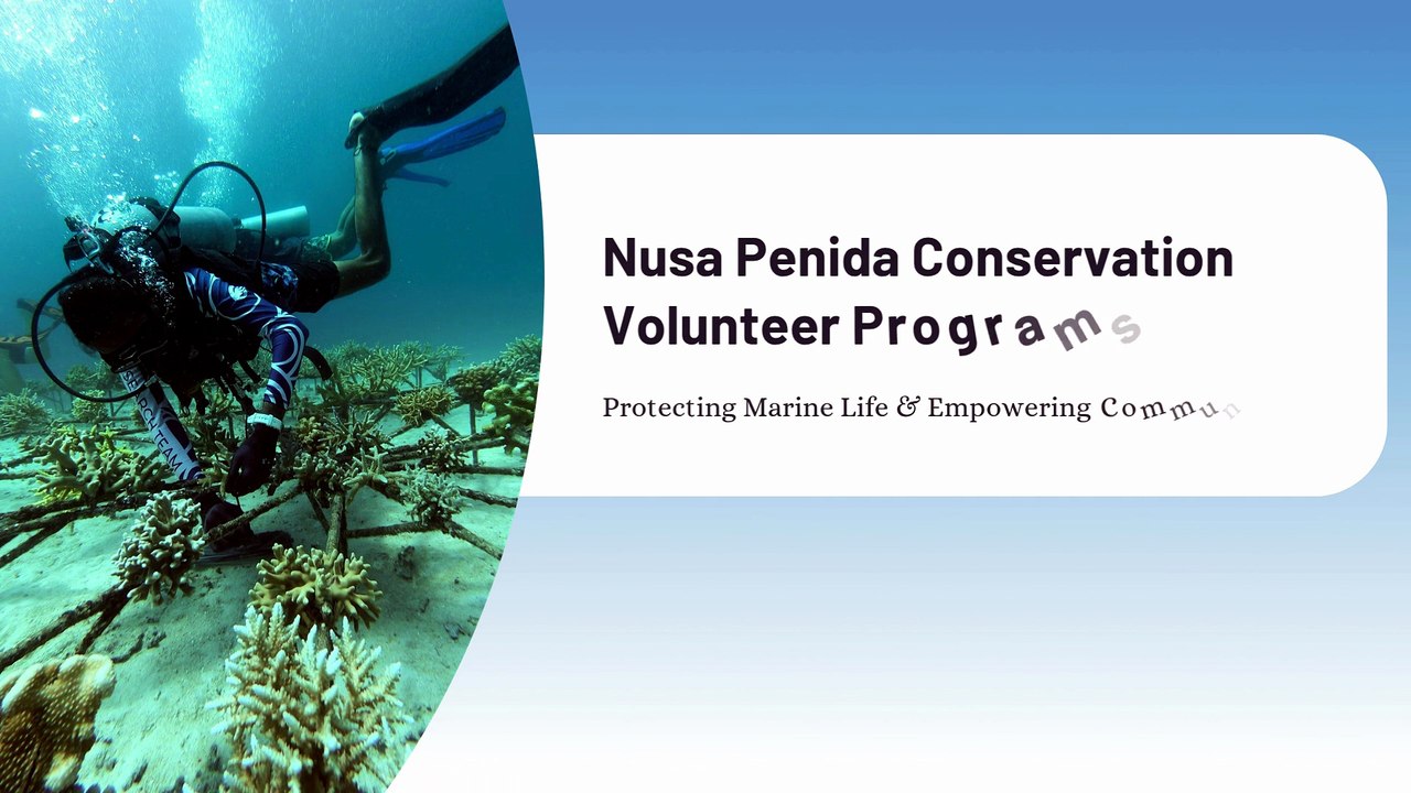 Nusa Penida Conservation Volunteer Programs