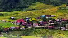 Limbong, Desa Wisata di Luwu Utara dengan Hamparan Sawah yang Indah